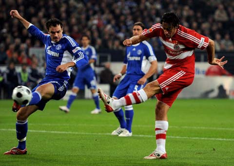 的成长历程 的成长历程